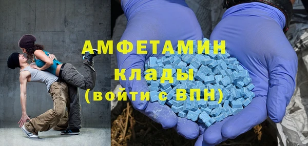 гидра Алексеевка