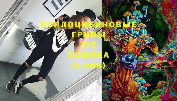 соль курить ск Алексин