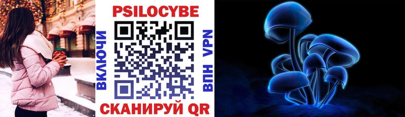 Псилоцибиновые грибы GOLDEN TEACHER  купить  цена  Абакан 