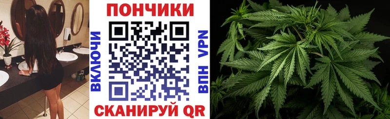 Бошки Шишки индика закладки Абакан